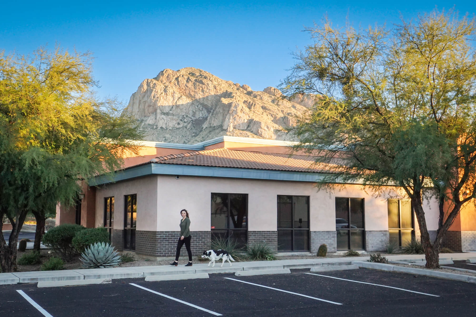 veterinarian at an animal hospital in oro valley az