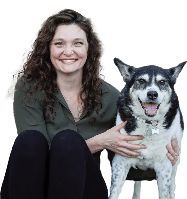 Veterinarian in Oro Valley, AZ The Bailey Veterinary Medical Center