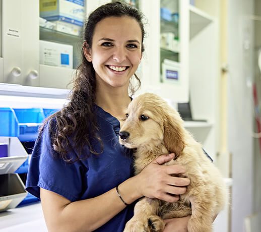 Veterinary Technician Holding Dog