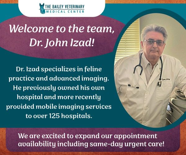 Welcome Dr. Izad banner